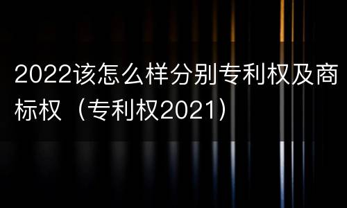 2022该怎么样分别专利权及商标权（专利权2021）