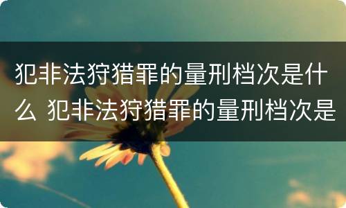 犯非法狩猎罪的量刑档次是什么 犯非法狩猎罪的量刑档次是什么标准