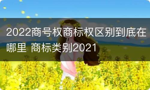 2022商号权商标权区别到底在哪里 商标类别2021