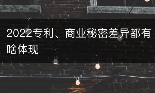 2022专利、商业秘密差异都有啥体现