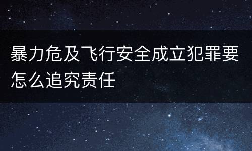 暴力危及飞行安全成立犯罪要怎么追究责任