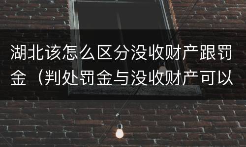 湖北该怎么区分没收财产跟罚金（判处罚金与没收财产可以并罚吗）