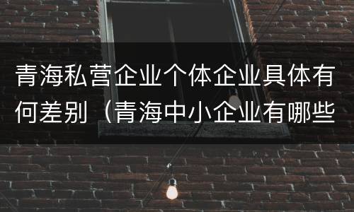 青海私营企业个体企业具体有何差别（青海中小企业有哪些）