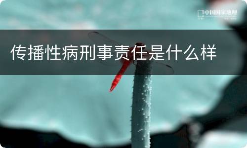 传播性病刑事责任是什么样