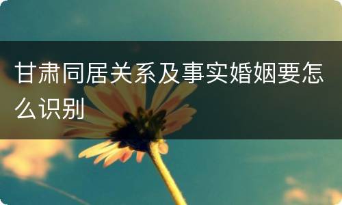 甘肃同居关系及事实婚姻要怎么识别