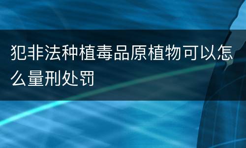 犯非法种植毒品原植物可以怎么量刑处罚