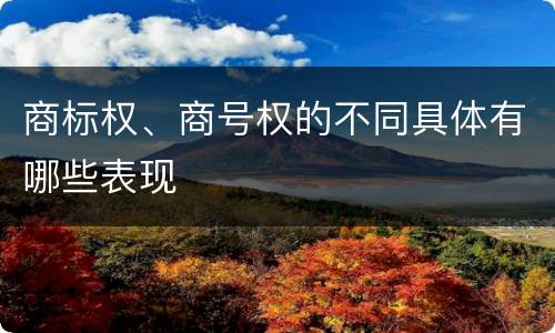 商标权、商号权的不同具体有哪些表现