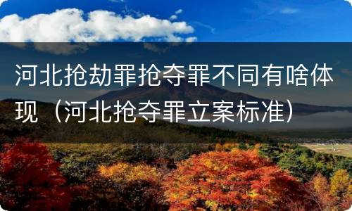 河北抢劫罪抢夺罪不同有啥体现（河北抢夺罪立案标准）
