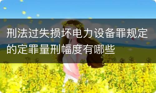 刑法过失损坏电力设备罪规定的定罪量刑幅度有哪些
