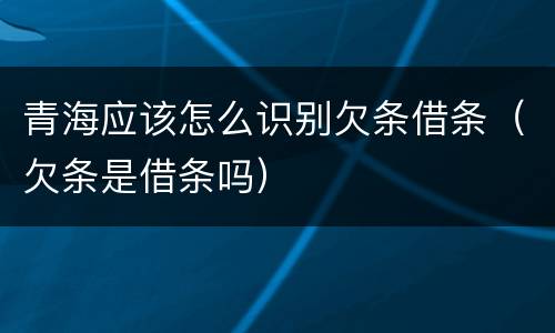 青海应该怎么识别欠条借条（欠条是借条吗）