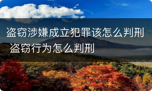 盗窃涉嫌成立犯罪该怎么判刑 盗窃行为怎么判刑