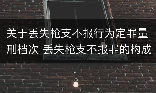关于丢失枪支不报行为定罪量刑档次 丢失枪支不报罪的构成要件
