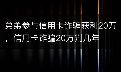 弟弟参与信用卡诈骗获利20万，信用卡诈骗20万判几年
