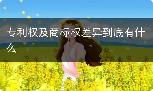 专利权及商标权差异到底有什么