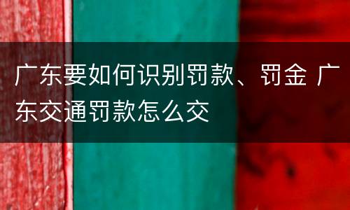 广东要如何识别罚款、罚金 广东交通罚款怎么交
