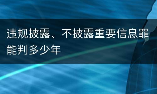 违规披露、不披露重要信息罪能判多少年