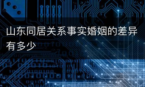 山东同居关系事实婚姻的差异有多少