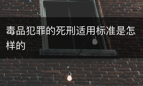 毒品犯罪的死刑适用标准是怎样的