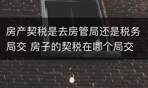 房产契税是去房管局还是税务局交 房子的契税在哪个局交