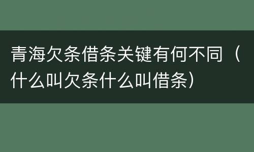 青海欠条借条关键有何不同（什么叫欠条什么叫借条）