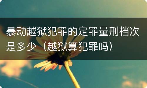 暴动越狱犯罪的定罪量刑档次是多少（越狱算犯罪吗）