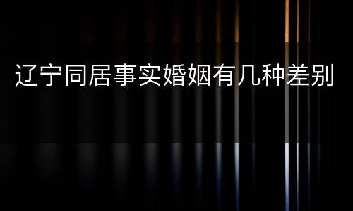 辽宁同居事实婚姻有几种差别