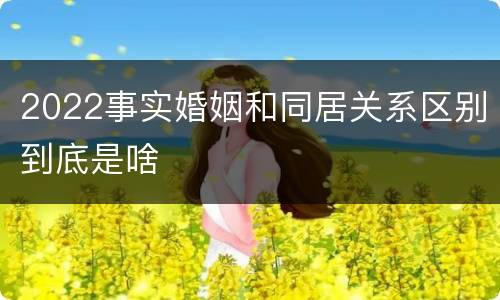 2022事实婚姻和同居关系区别到底是啥