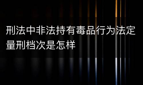 刑法中非法持有毒品行为法定量刑档次是怎样