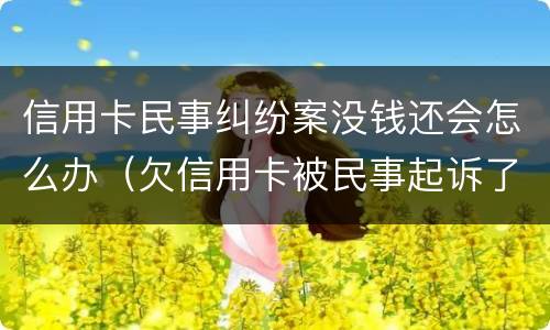 信用卡民事纠纷案没钱还会怎么办（欠信用卡被民事起诉了 但依旧还不起）