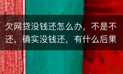欠网贷没钱还怎么办，不是不还，确实没钱还，有什么后果吗