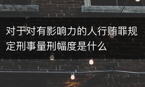 对于对有影响力的人行贿罪规定刑事量刑幅度是什么