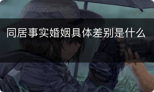 同居事实婚姻具体差别是什么