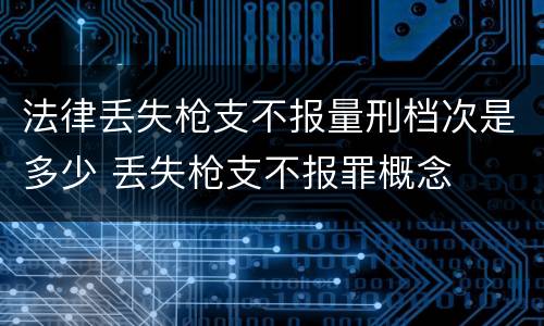 法律丢失枪支不报量刑档次是多少 丢失枪支不报罪概念