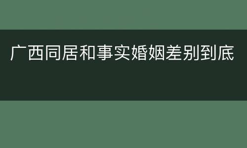 广西同居和事实婚姻差别到底