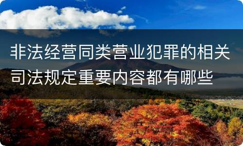 非法经营同类营业犯罪的相关司法规定重要内容都有哪些