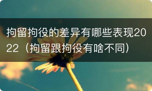 拘留拘役的差异有哪些表现2022（拘留跟拘役有啥不同）