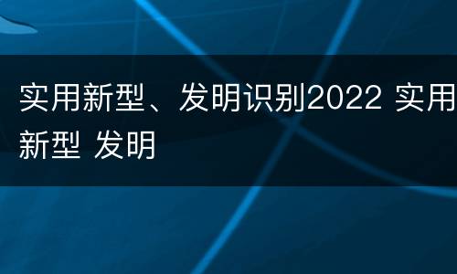 实用新型、发明识别2022 实用新型 发明