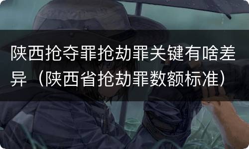 陕西抢夺罪抢劫罪关键有啥差异（陕西省抢劫罪数额标准）