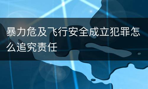 暴力危及飞行安全成立犯罪怎么追究责任