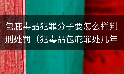包庇毒品犯罪分子要怎么样判刑处罚（犯毒品包庇罪处几年徒刑）