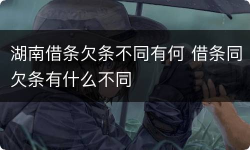 湖南借条欠条不同有何 借条同欠条有什么不同