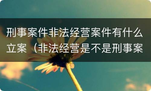 刑事案件非法经营案件有什么立案（非法经营是不是刑事案件）