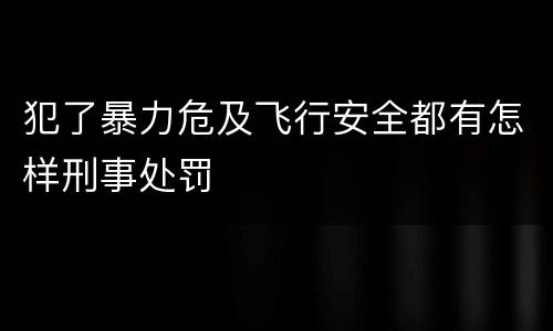 犯了暴力危及飞行安全都有怎样刑事处罚