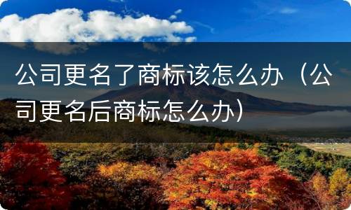 公司更名了商标该怎么办（公司更名后商标怎么办）