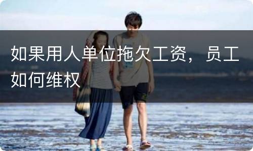 如果用人单位拖欠工资，员工如何维权