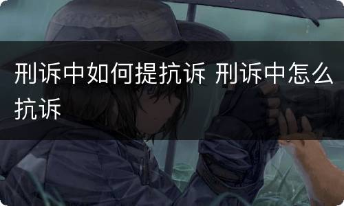 刑诉中如何提抗诉 刑诉中怎么抗诉