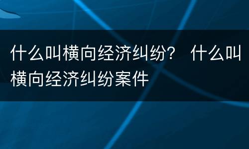 什么叫横向经济纠纷？ 什么叫横向经济纠纷案件