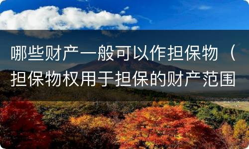 哪些财产一般可以作担保物（担保物权用于担保的财产范围）