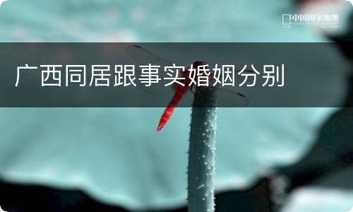 广西同居跟事实婚姻分别