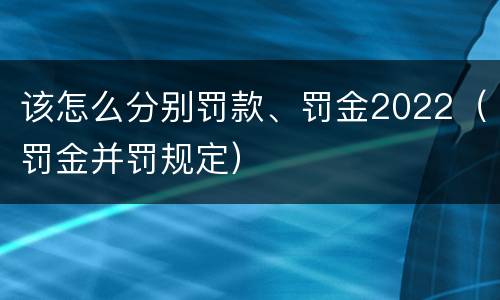 该怎么分别罚款、罚金2022（罚金并罚规定）